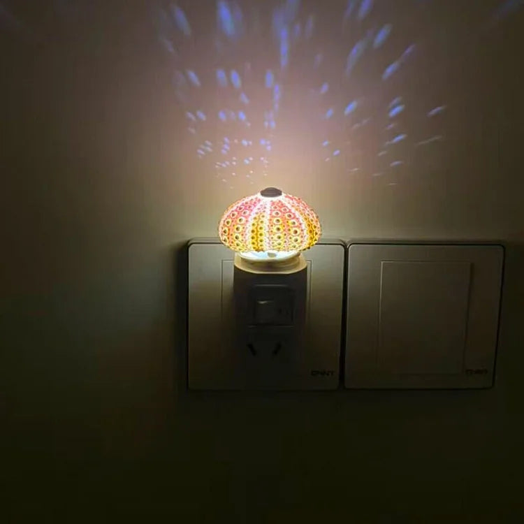 Delira DIY Nachtlampje Zee-egel