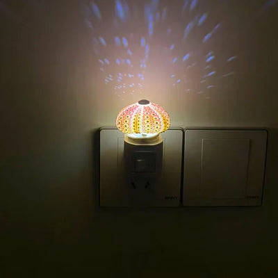 Delira DIY Nachtlampje Zee-egel