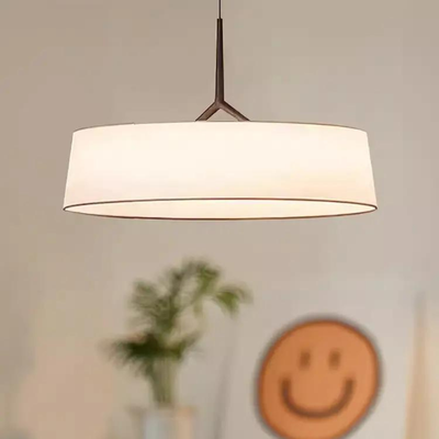 Delira Hanglamp Met Minimalistische Elegantie