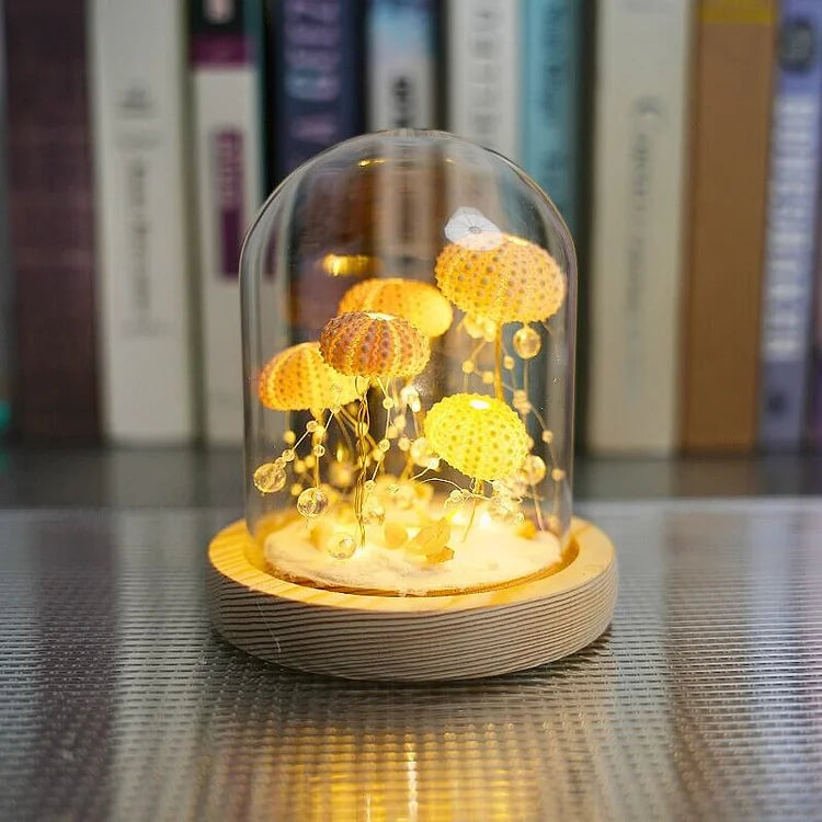 Delira DIY Nachtlampje Zee-egel