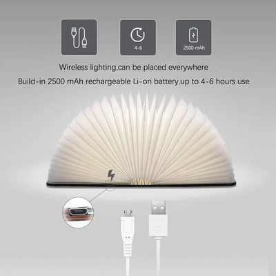 Delira Tafellamp Open Boek Design