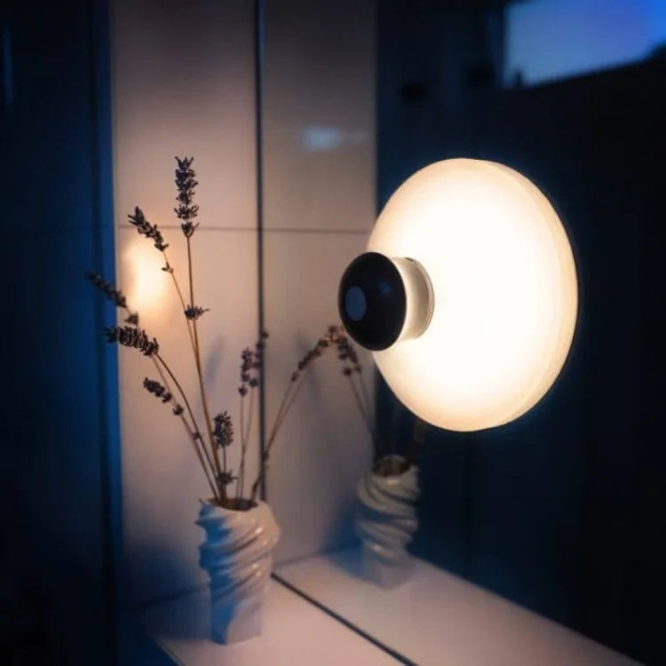 Delira Draagbare LED-lamp met zuignapbevestiging