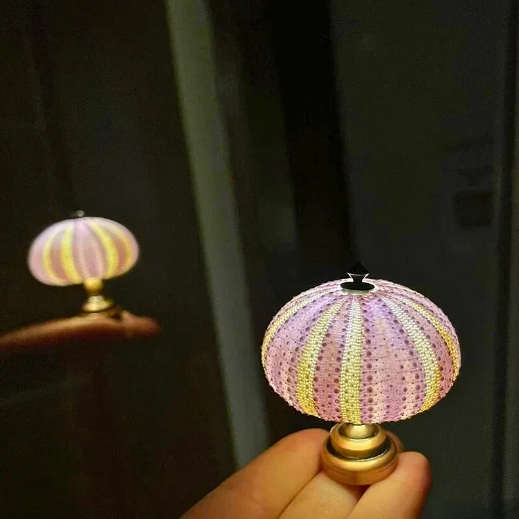Delira DIY Nachtlampje Zee-egel