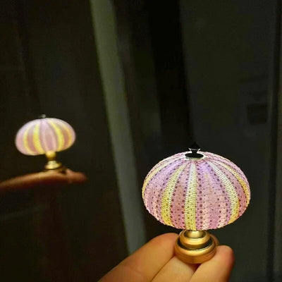 Delira DIY Nachtlampje Zee-egel