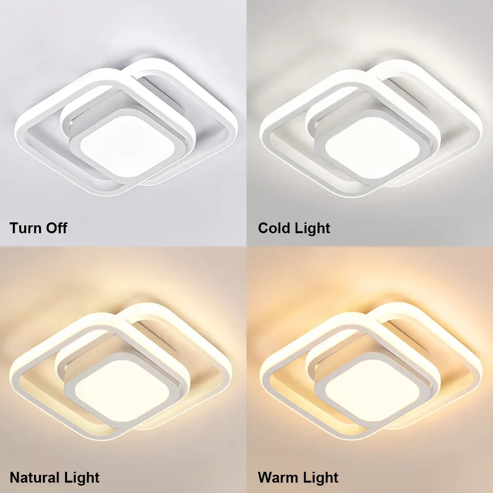 Delira Plafondlamp Minimalistisch Dubbele Ring