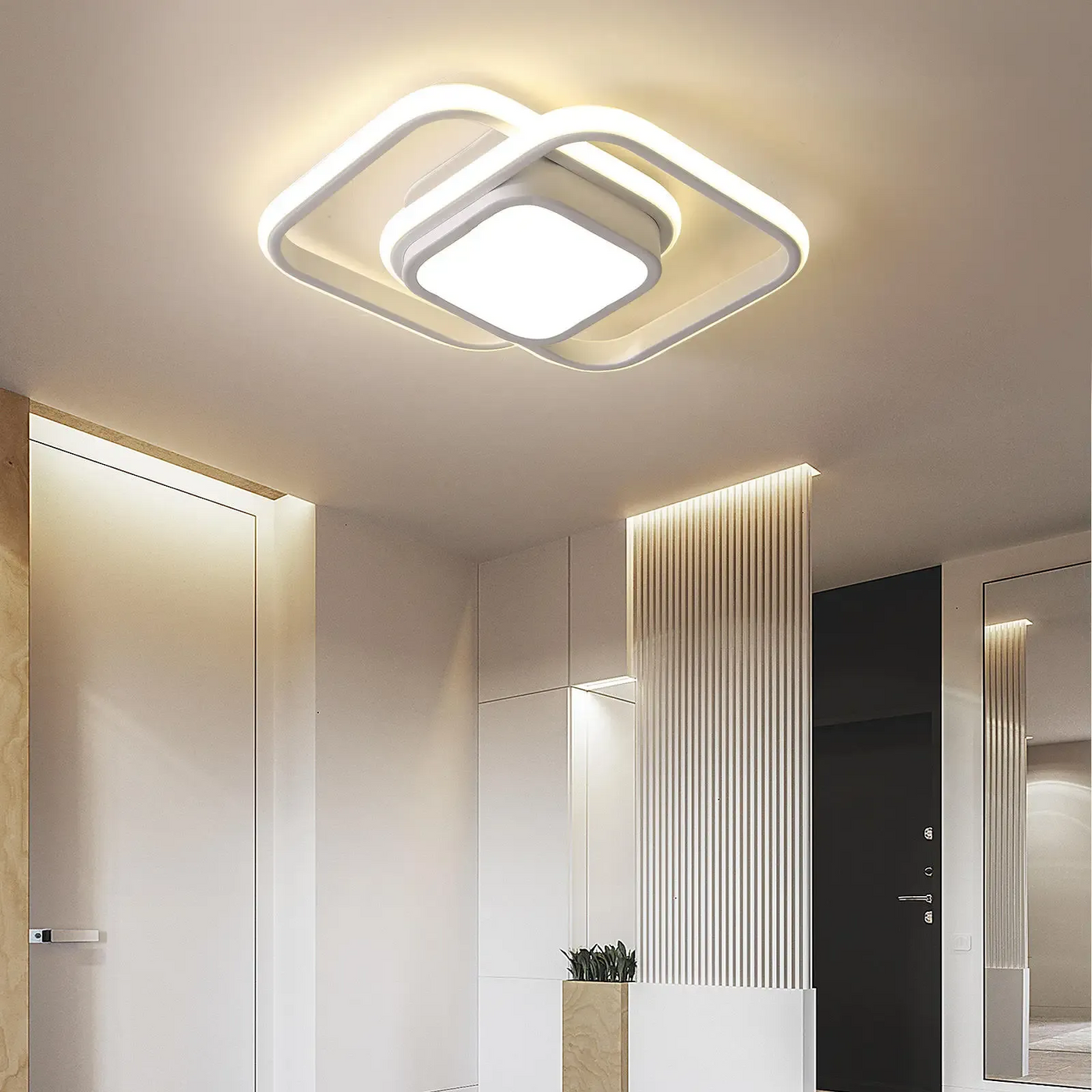 Delira Plafondlamp Minimalistisch Dubbele Ring