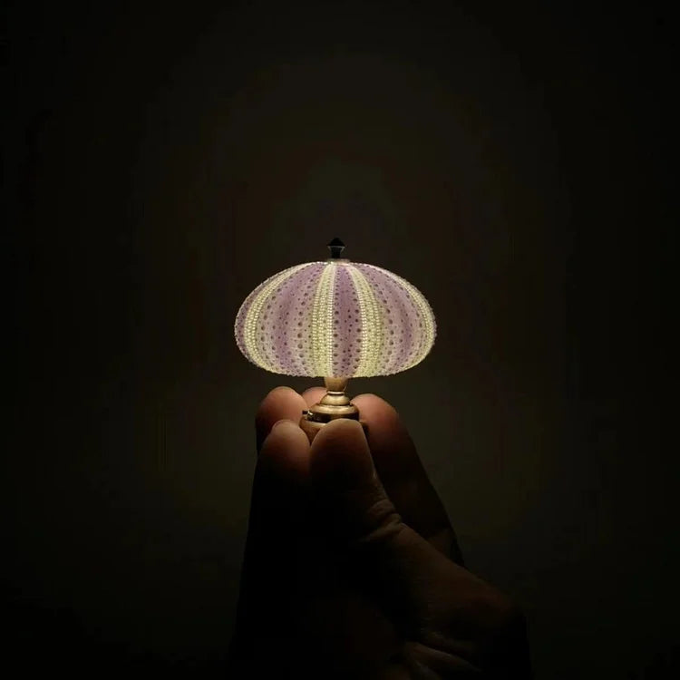 Delira DIY Nachtlampje Zee-egel
