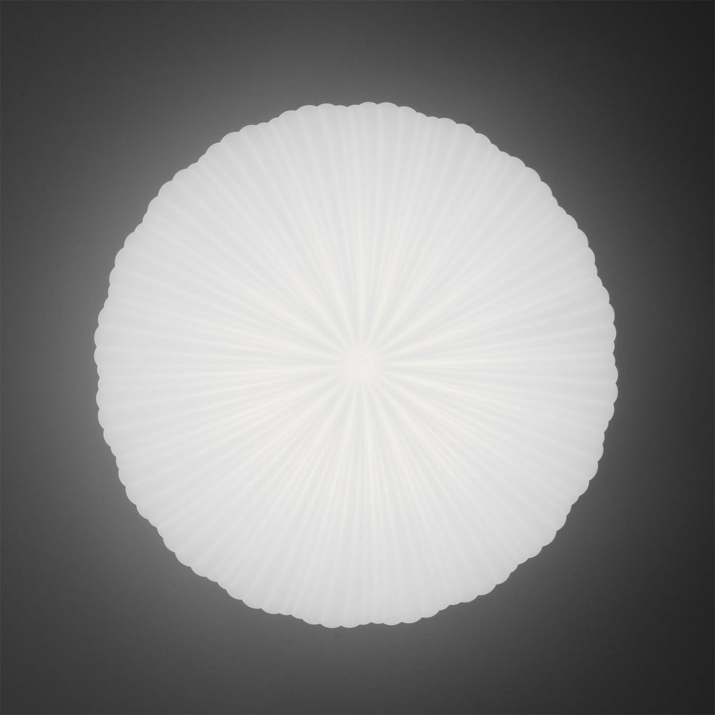 Delira Plafondlamp Rond Acryldesign Wit