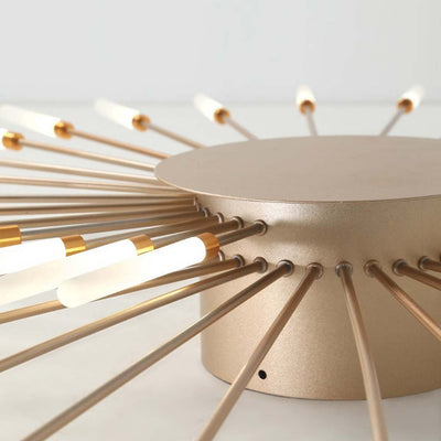 Delira Plafondlamp Stervormig LED Design