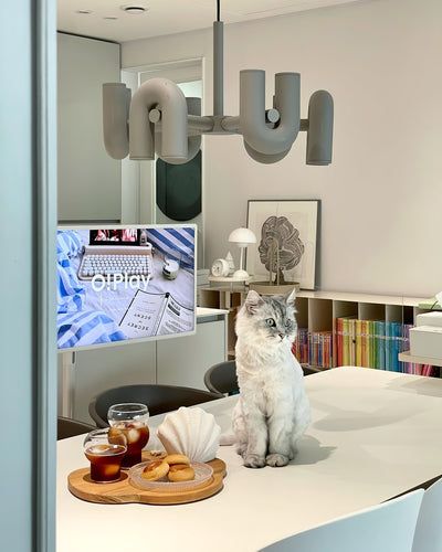 Delira Plafondlamp Verstelbare U-Vorm LED