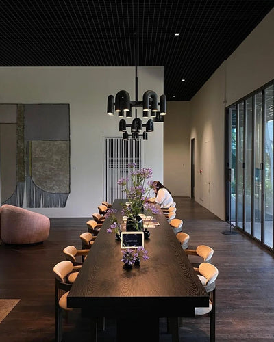 Delira Plafondlamp Verstelbare U-Vorm LED