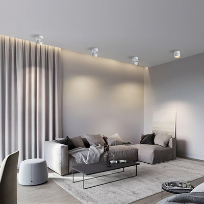 Delira Plafondlamp Compact Richtbaar Design