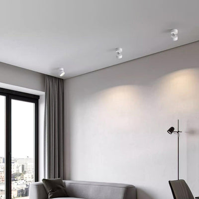 Delira Plafondlamp Compact Richtbaar Design