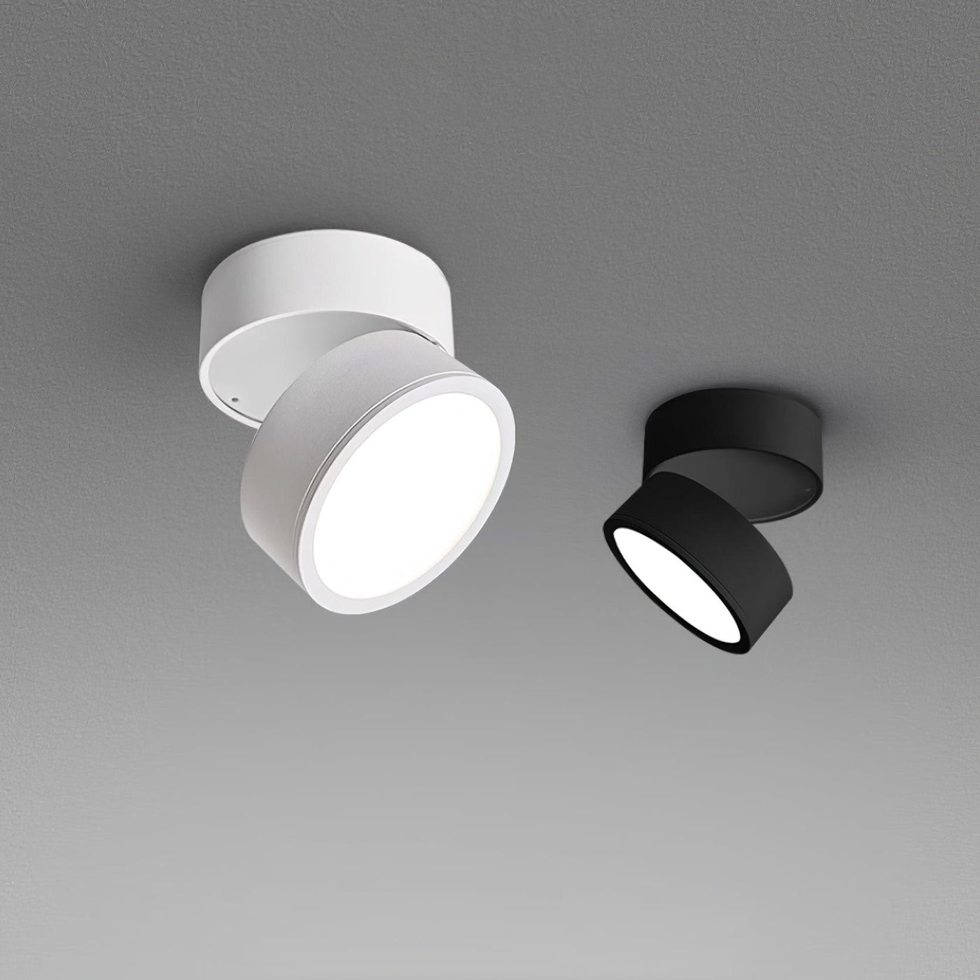 Delira Plafondlamp Compact Richtbaar Design