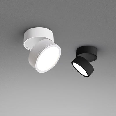 Delira Plafondlamp Compact Richtbaar Design
