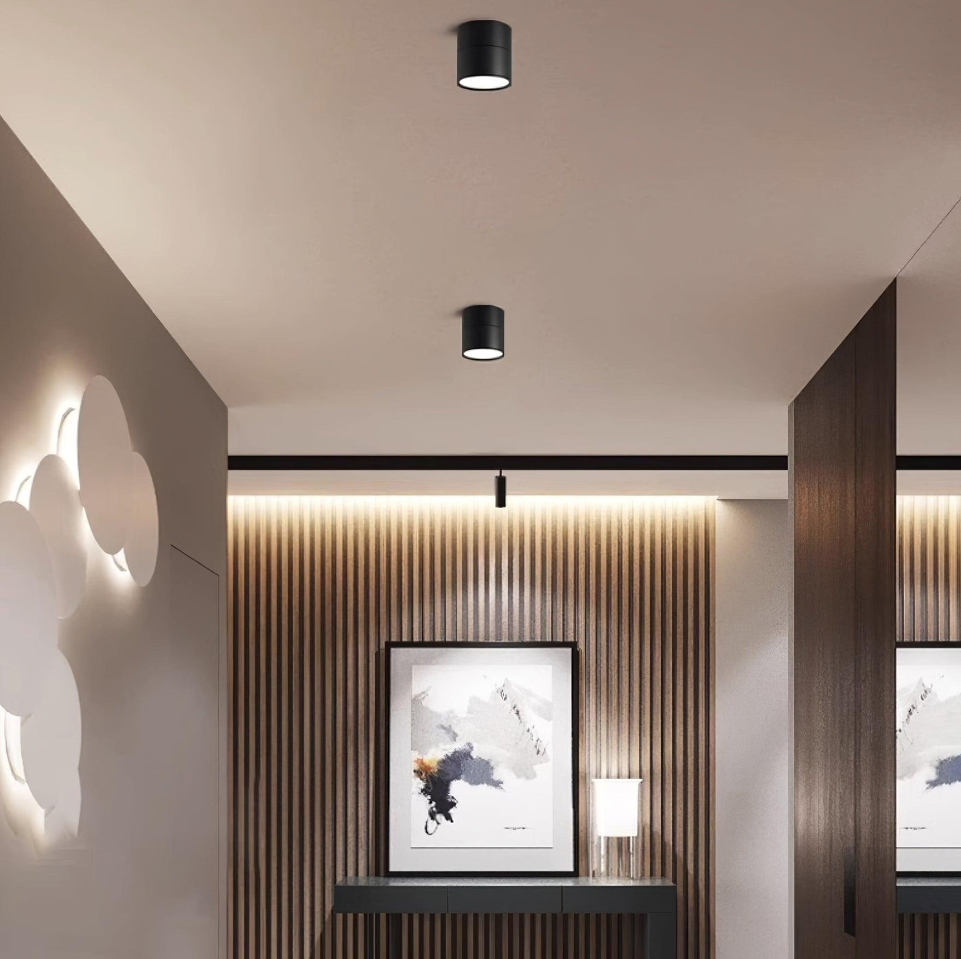 Delira Plafondlamp Compact Richtbaar Design