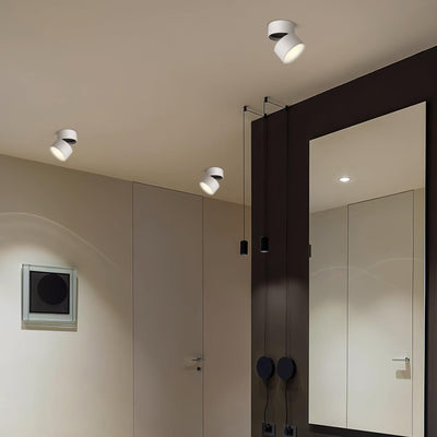 Delira Plafondlamp Compact Richtbaar Design