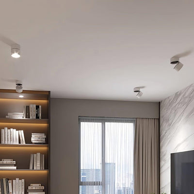 Delira Plafondlamp Compact Richtbaar Design