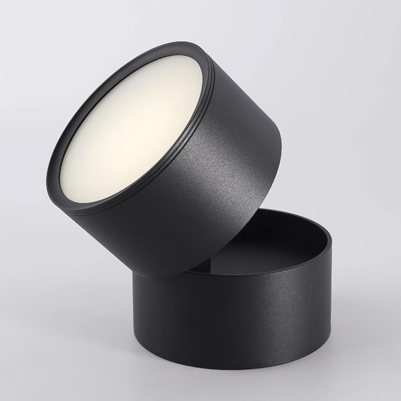 Delira Plafondlamp Compact Richtbaar Design