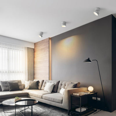 Delira Plafondlamp Compact Richtbaar Design