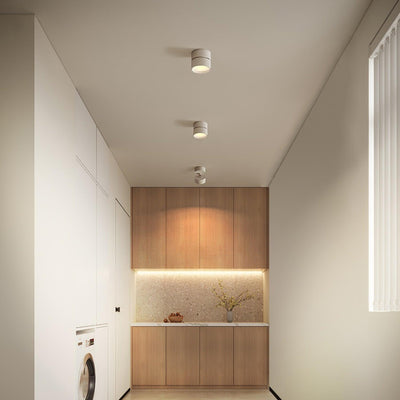 Delira Plafondlamp Compact Richtbaar Design