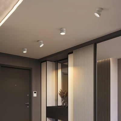 Delira Plafondlamp Compact Richtbaar Design