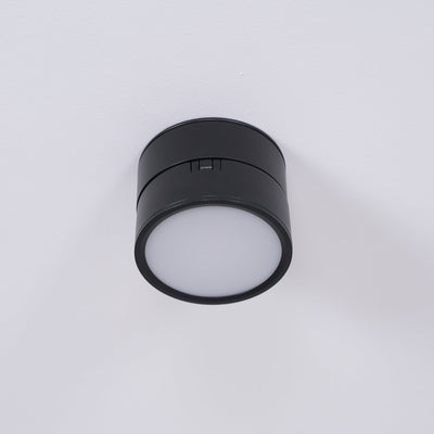 Delira Plafondlamp Compact Richtbaar Design