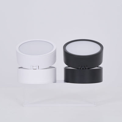 Delira Plafondlamp Compact Richtbaar Design