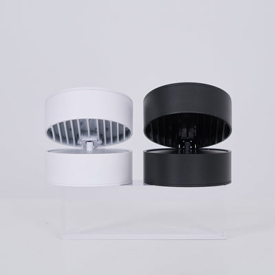 Delira Plafondlamp Compact Richtbaar Design