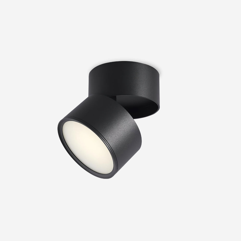 Delira Plafondlamp Compact Richtbaar Design