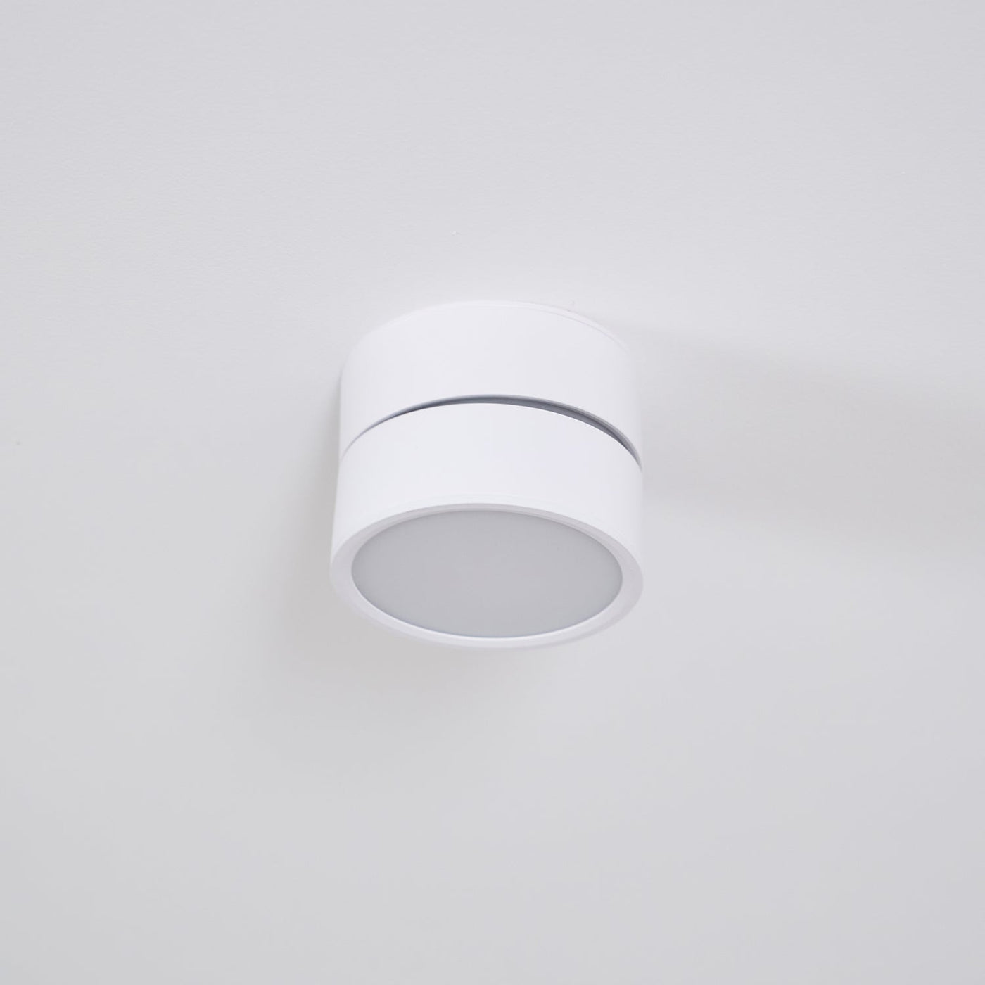 Delira Plafondlamp Compact Richtbaar Design
