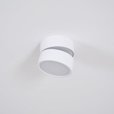 Delira Plafondlamp Compact Richtbaar Design
