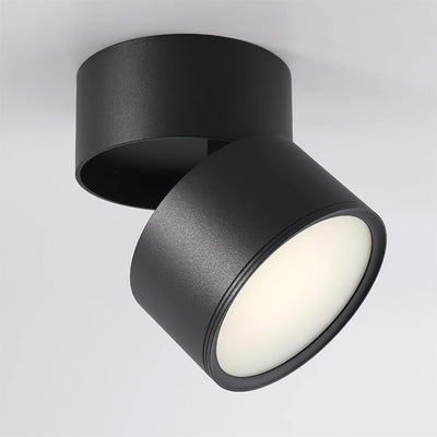 Delira Plafondlamp Compact Richtbaar Design