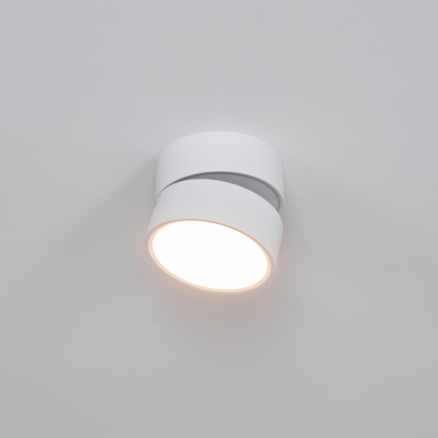 Delira Plafondlamp Compact Richtbaar Design
