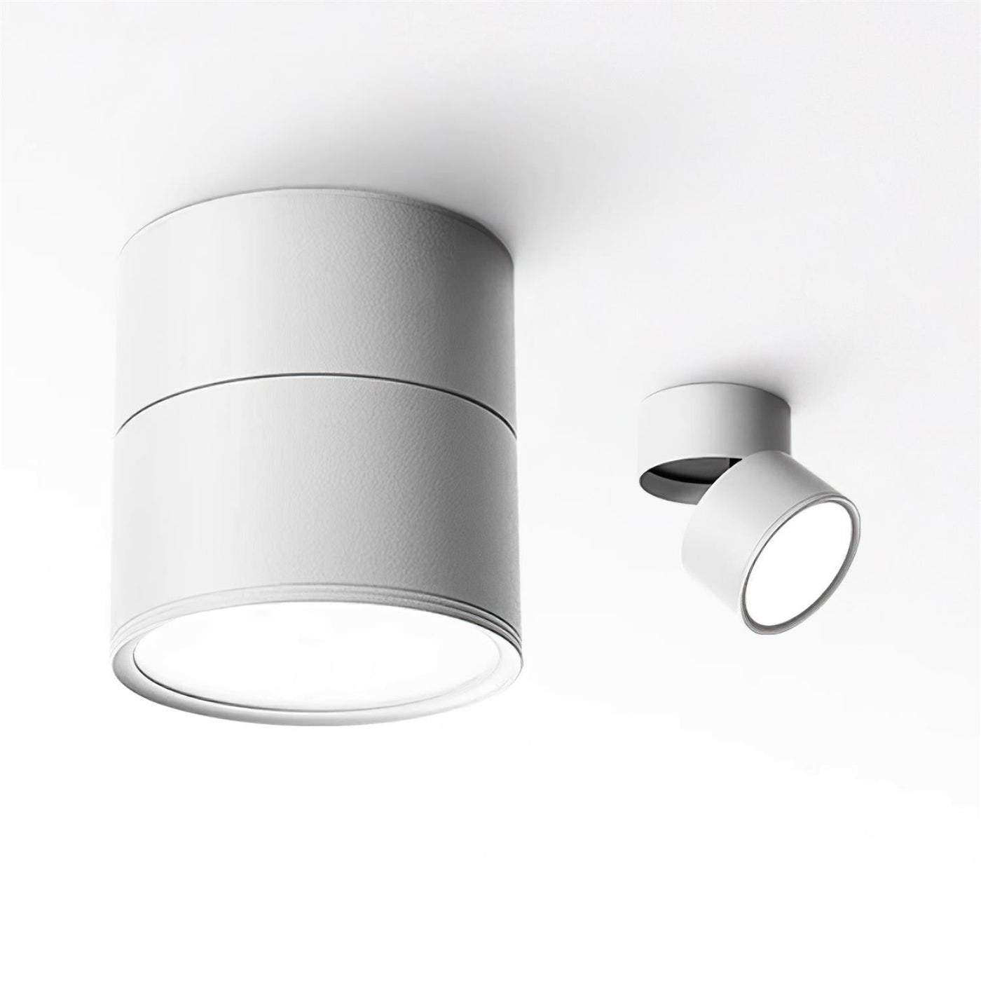 Delira Plafondlamp Compact Richtbaar Design