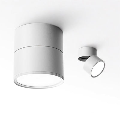 Delira Plafondlamp Compact Richtbaar Design