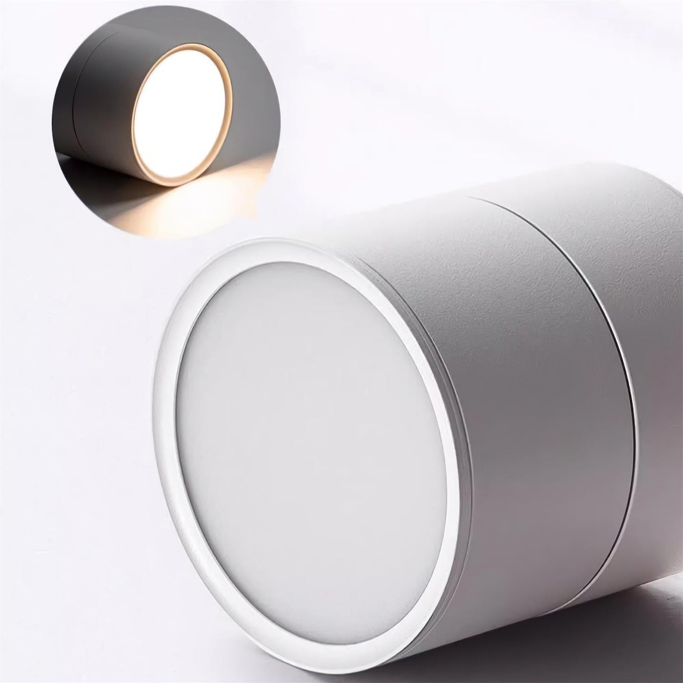 Delira Plafondlamp Compact Richtbaar Design