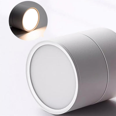 Delira Plafondlamp Compact Richtbaar Design