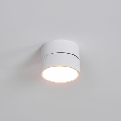 Delira Plafondlamp Compact Richtbaar Design