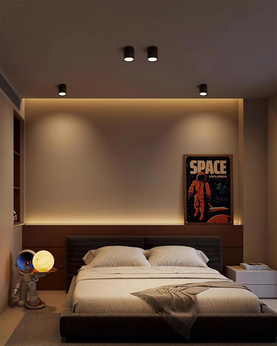 Delira Plafondlamp Compact Richtbaar Design