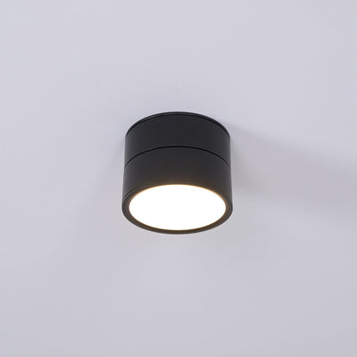 Delira Plafondlamp Compact Richtbaar Design