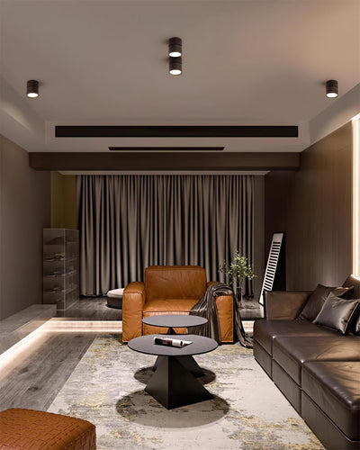 Delira Plafondlamp Compact Richtbaar Design