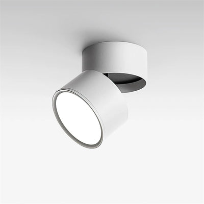 Delira Plafondlamp Compact Richtbaar Design