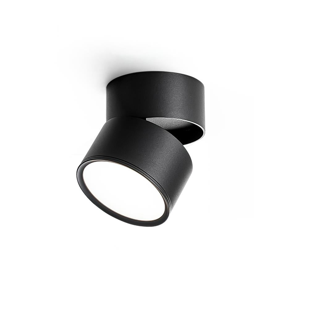 Delira Plafondlamp Compact Richtbaar Design