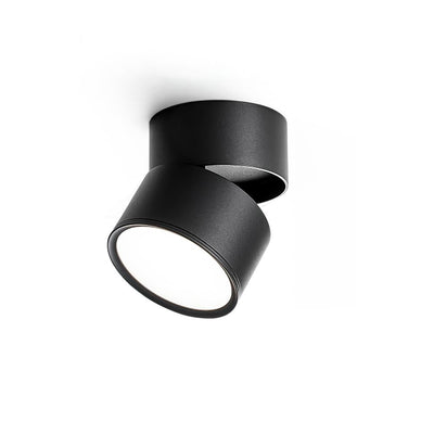 Delira Plafondlamp Compact Richtbaar Design