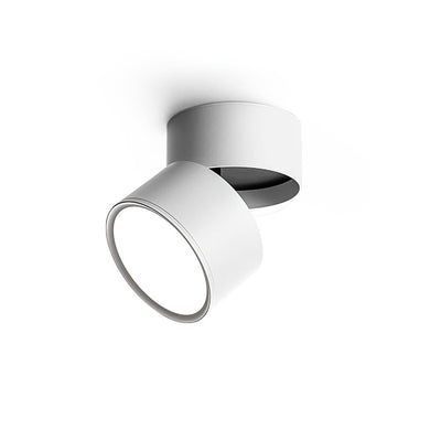 Delira Plafondlamp Compact Richtbaar Design