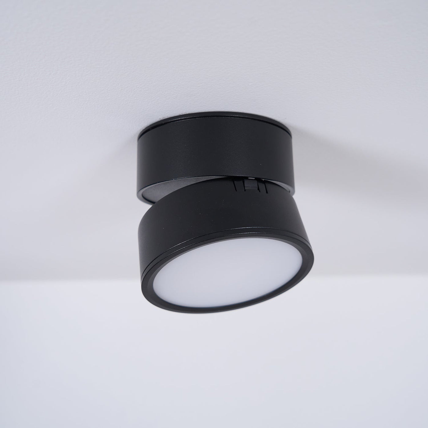 Delira Plafondlamp Compact Richtbaar Design