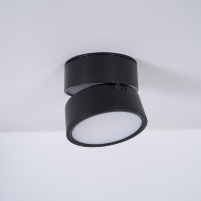 Delira Plafondlamp Compact Richtbaar Design