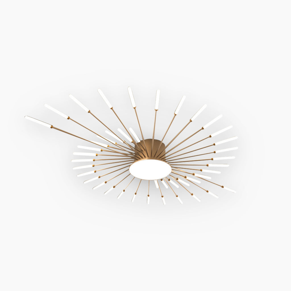 Delira Plafondlamp Stervormig LED Design