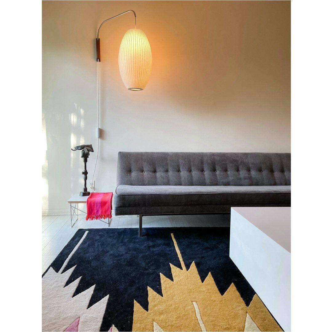 Delira Wandlamp Sferisch Verstelbaar Ontwerp
